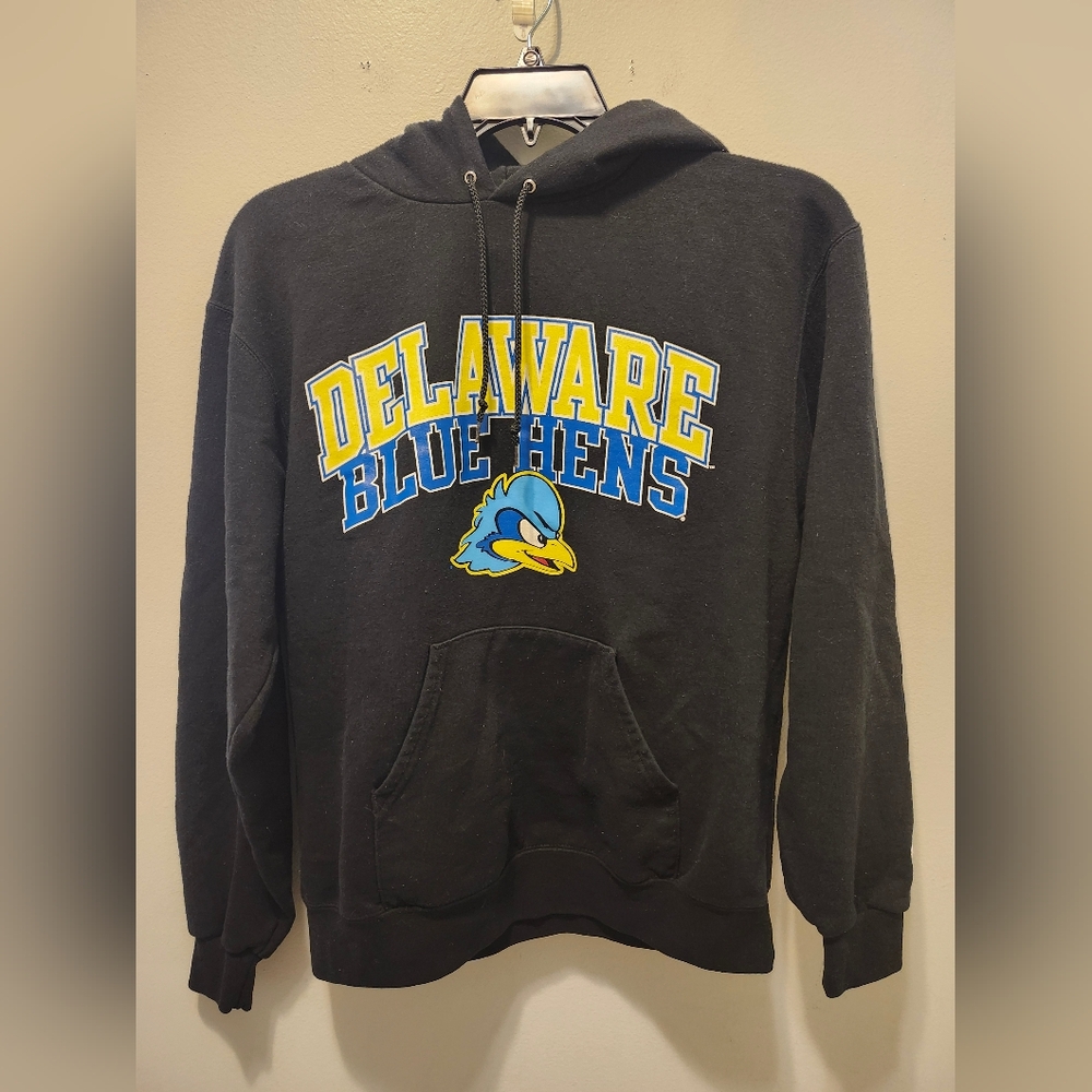 Champion Delaware Fightin' Blue Hens Hoodie Sweatshirt Men's Medium